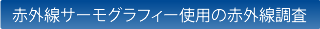 赤外線サーモグラフィー使用の赤外線調査